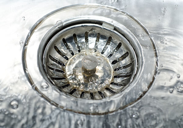sewer and drain services